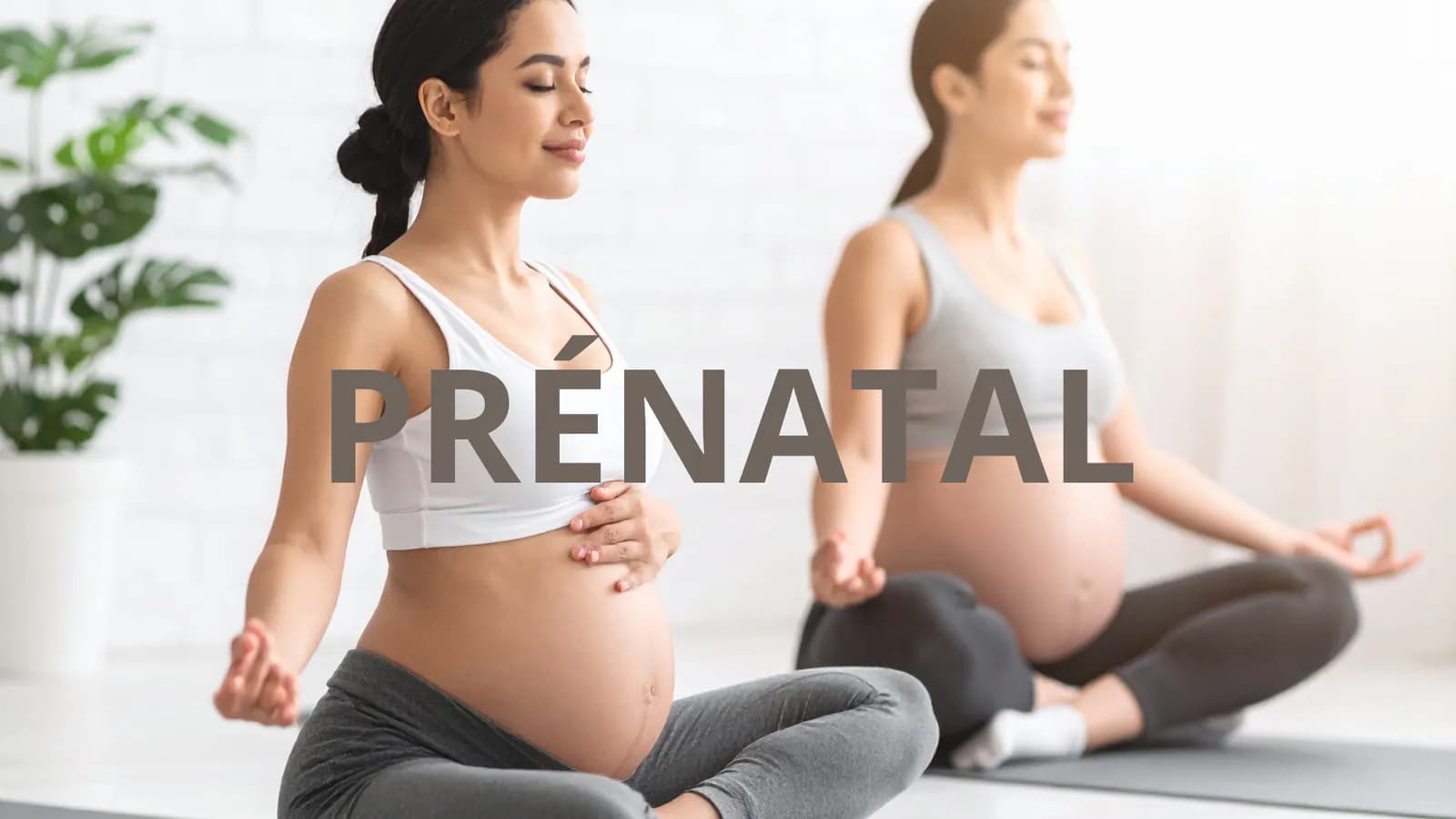 Prénatal